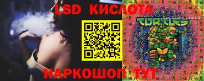 твердый Кингисепп