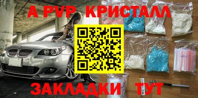 твердый Кингисепп