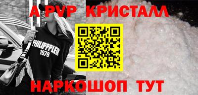твердый Кингисепп