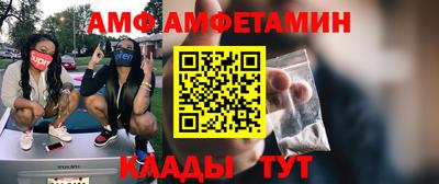 твердый Кингисепп