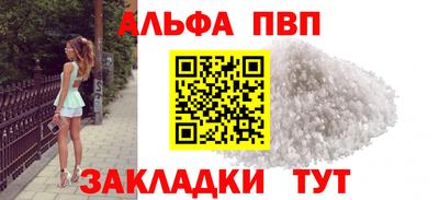 твердый Кингисепп