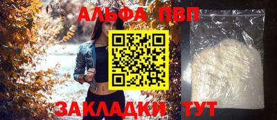 твердый Кингисепп