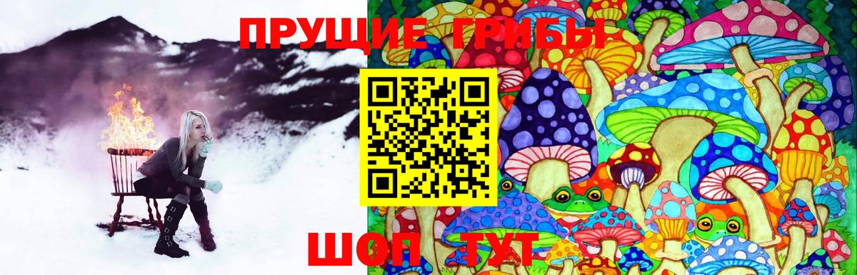 Псилоцибиновые грибы GOLDEN TEACHER  Вход с VPN  Галлюциногенные грибы прущие грибы  Краснознаменск 